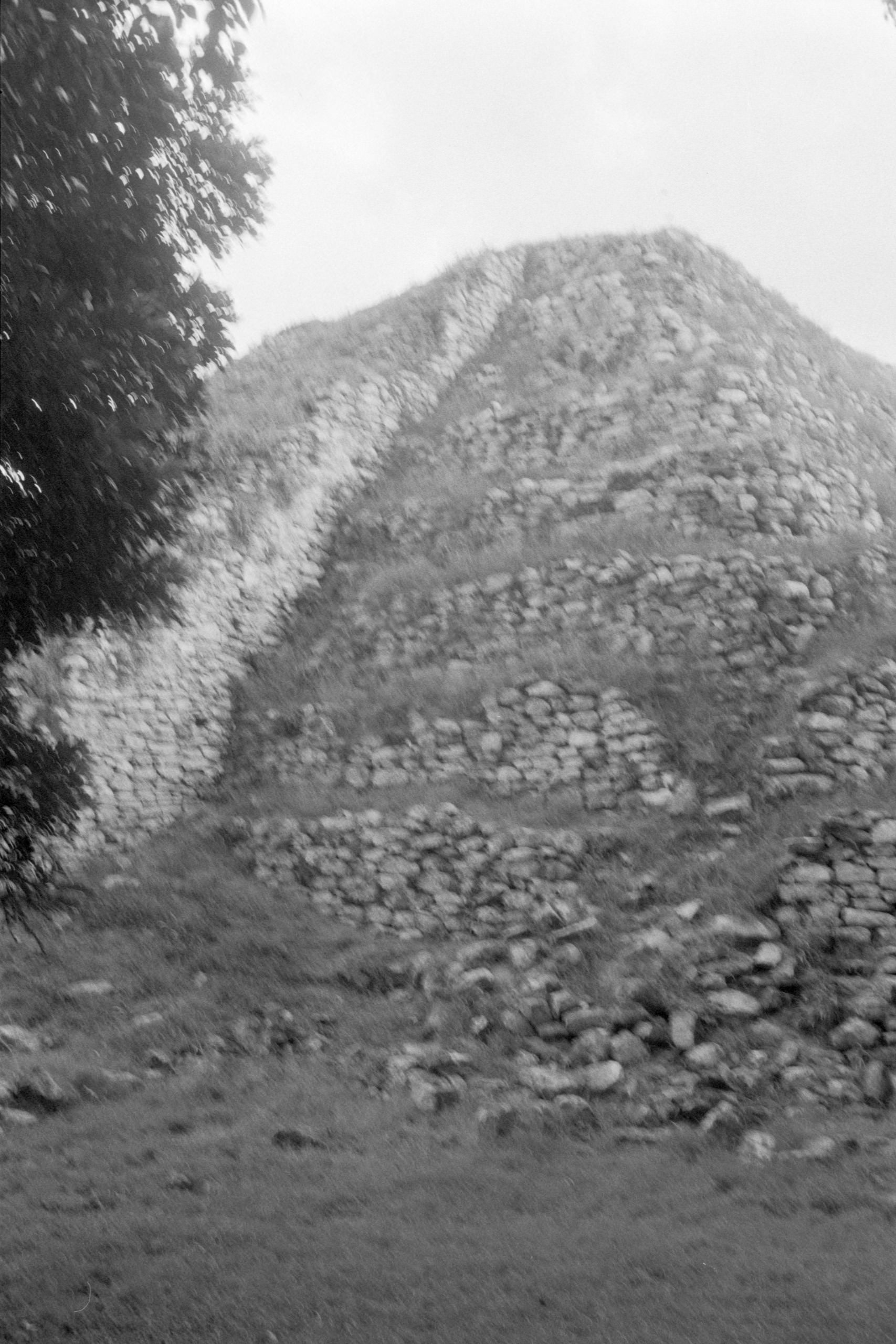 AHP FilmScan 240807 0683